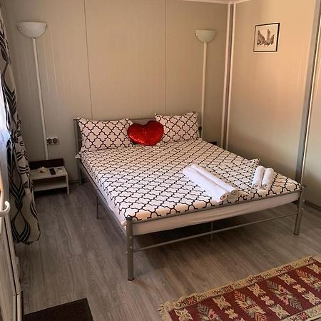 술리나 Casa Irimia 아파트 외부 사진